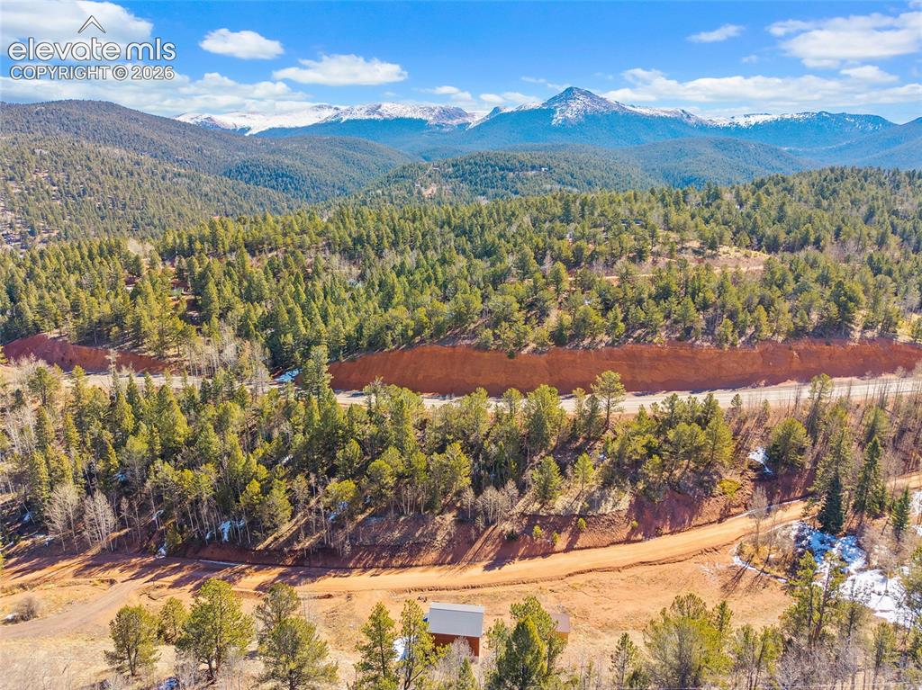 213 Willow Road Divide CO 80814