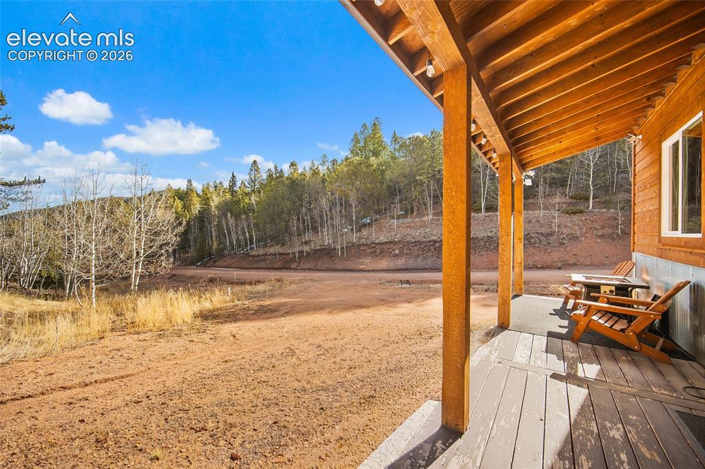 213 Willow Road Divide CO 80814