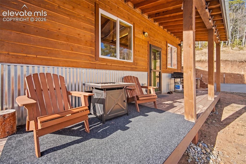 213 Willow Road Divide CO 80814