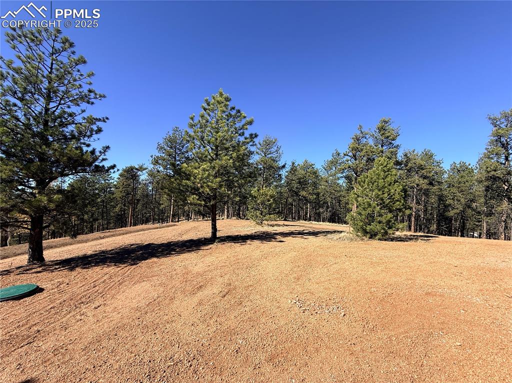 2627 Pikes Peak Drive Florissant CO 80816