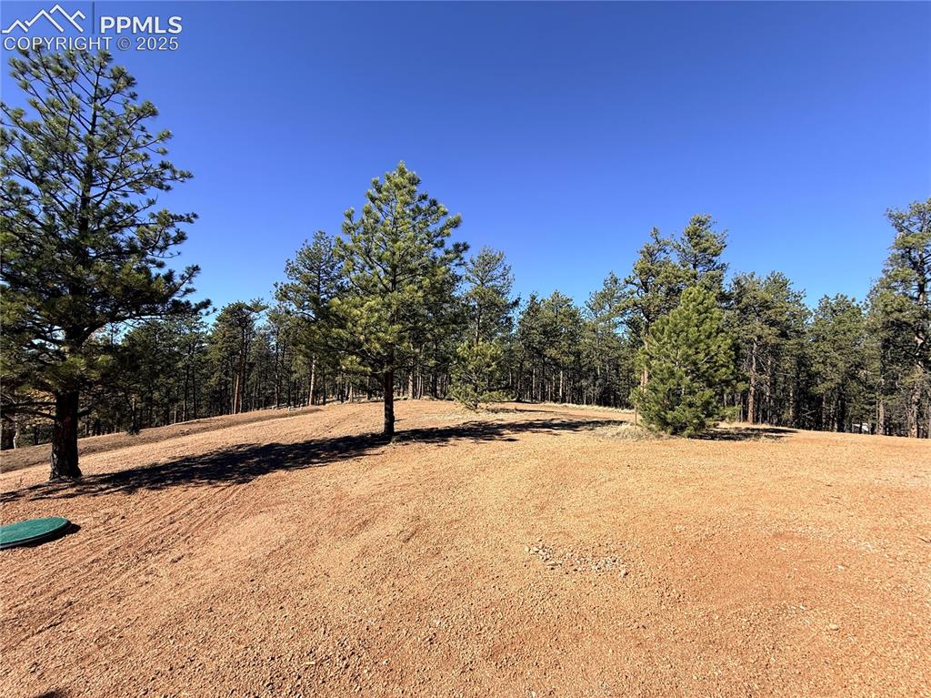 2627 Pikes Peak Drive Florissant CO 80816