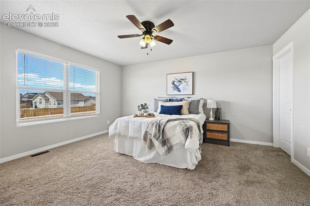 10112 Jaggar Way Peyton CO 80831