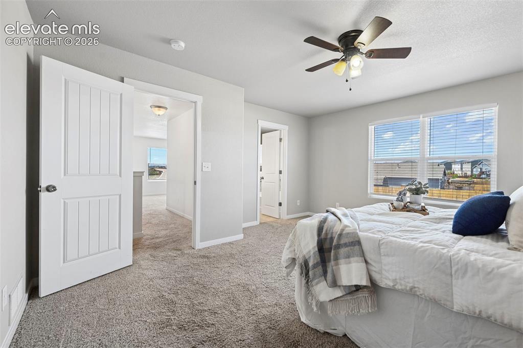 10112 Jaggar Way Peyton CO 80831