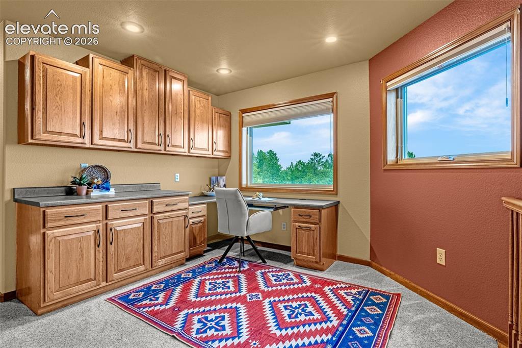 2845 Brogans Bluff Drive Colorado Springs CO 80919