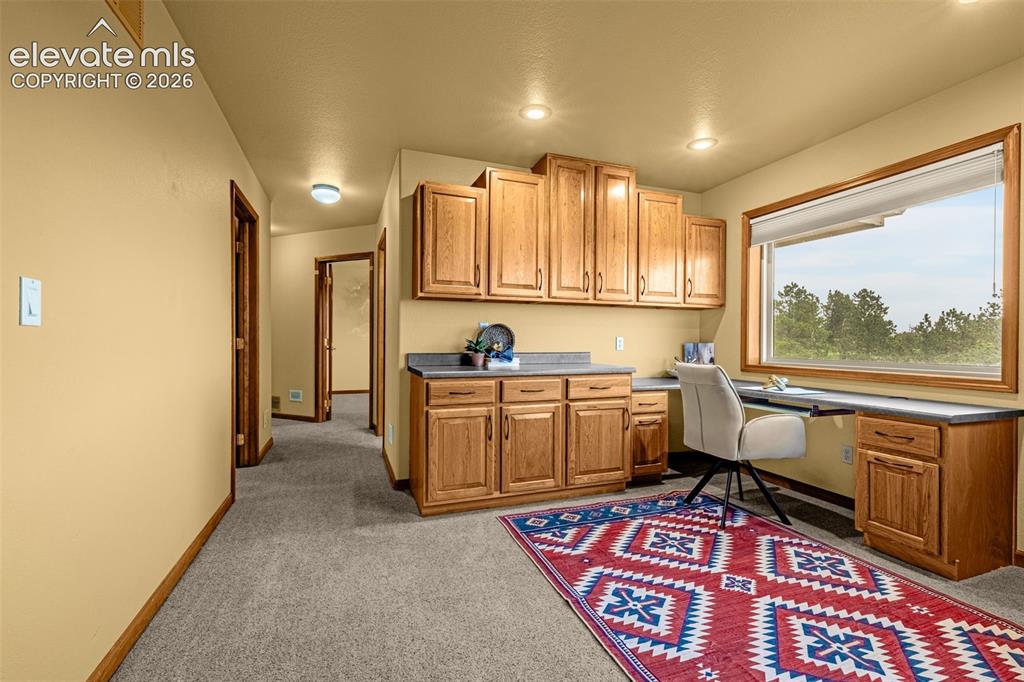2845 Brogans Bluff Drive Colorado Springs CO 80919