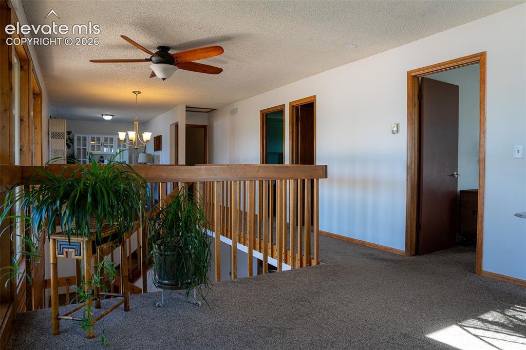 3170 Tiffany Terrace Colorado Springs CO 80920
