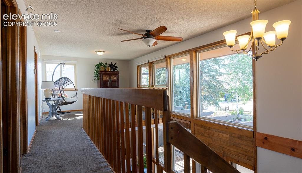 3170 Tiffany Terrace Colorado Springs CO 80920