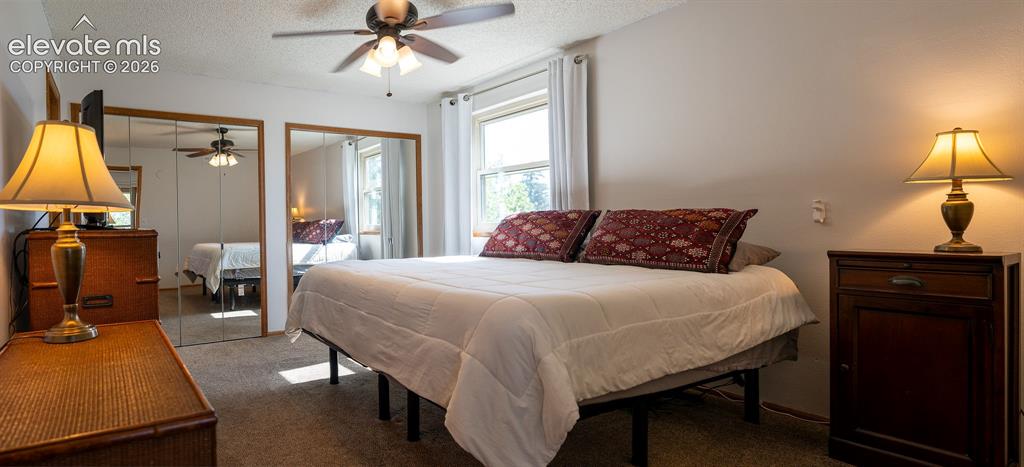 3170 Tiffany Terrace Colorado Springs CO 80920