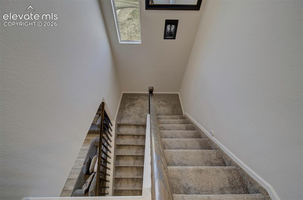 8262 Buffalo Horn Drive Colorado Springs CO 80925