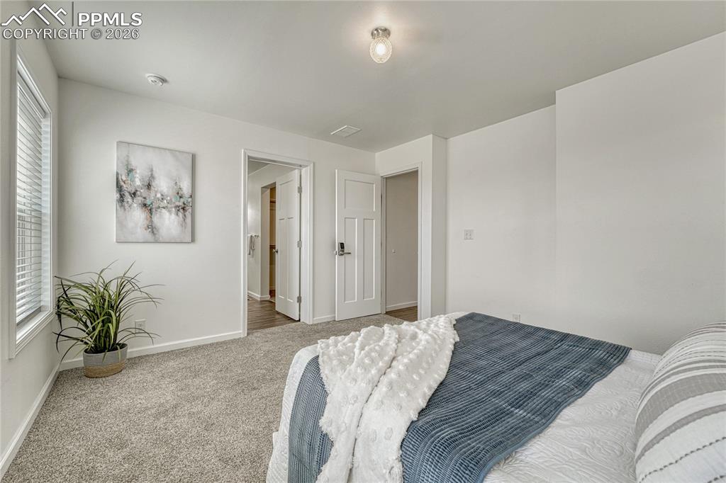4157 Gray Fox Heights Colorado Springs CO 80922