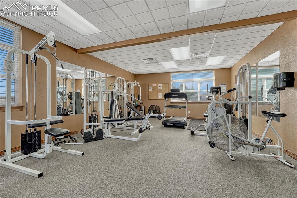 4157 Gray Fox Heights Colorado Springs CO 80922