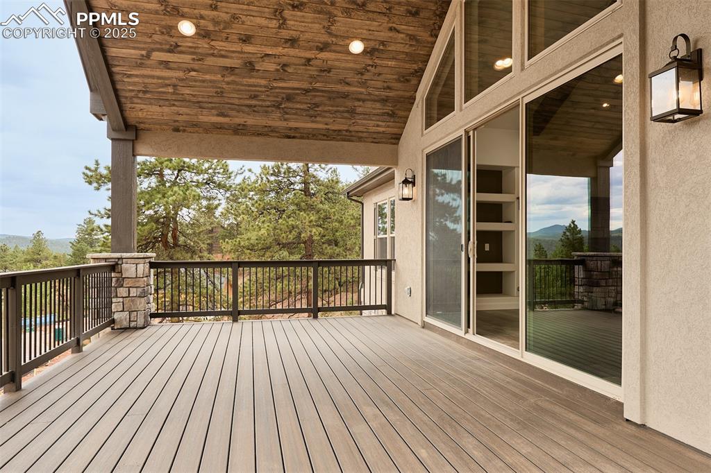 1415 Red Haven Place Woodland Park CO 80863