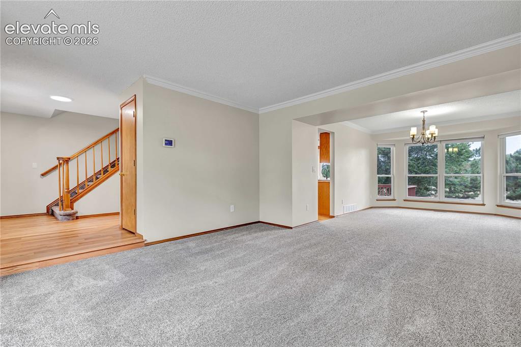 15285 Jessie Drive Colorado Springs CO 80921