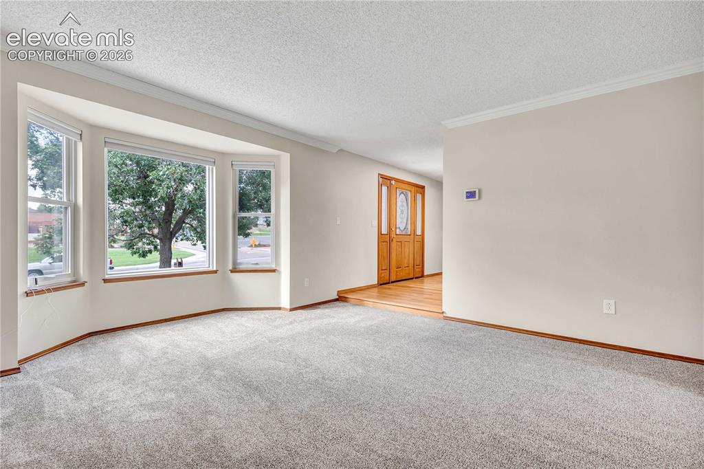 15285 Jessie Drive Colorado Springs CO 80921