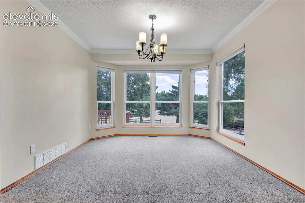 15285 Jessie Drive Colorado Springs CO 80921
