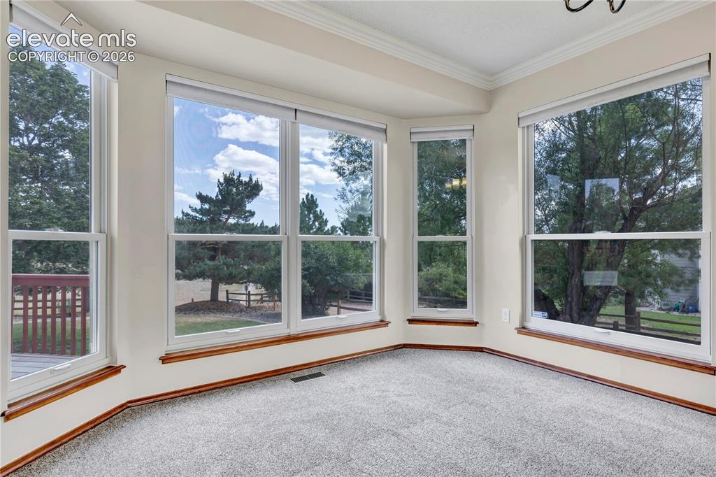 15285 Jessie Drive Colorado Springs CO 80921