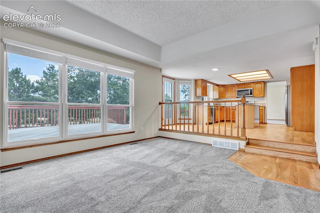 15285 Jessie Drive Colorado Springs CO 80921