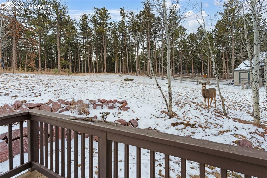 1157 Ptarmigan Drive Woodland Park CO 80863