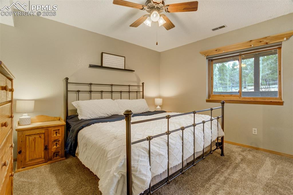 1011 South Avenue Woodland Park CO 80863