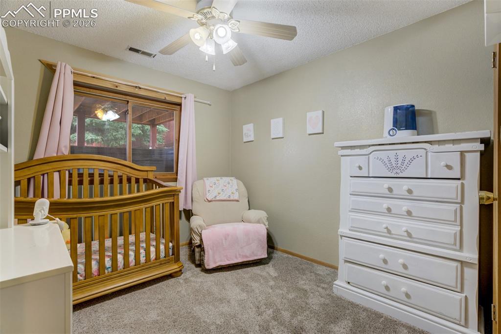1011 South Avenue Woodland Park CO 80863