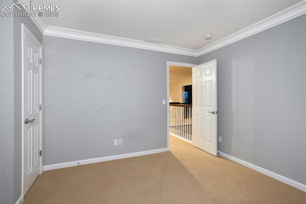3465 Fantasy Place Castle Rock CO 80109