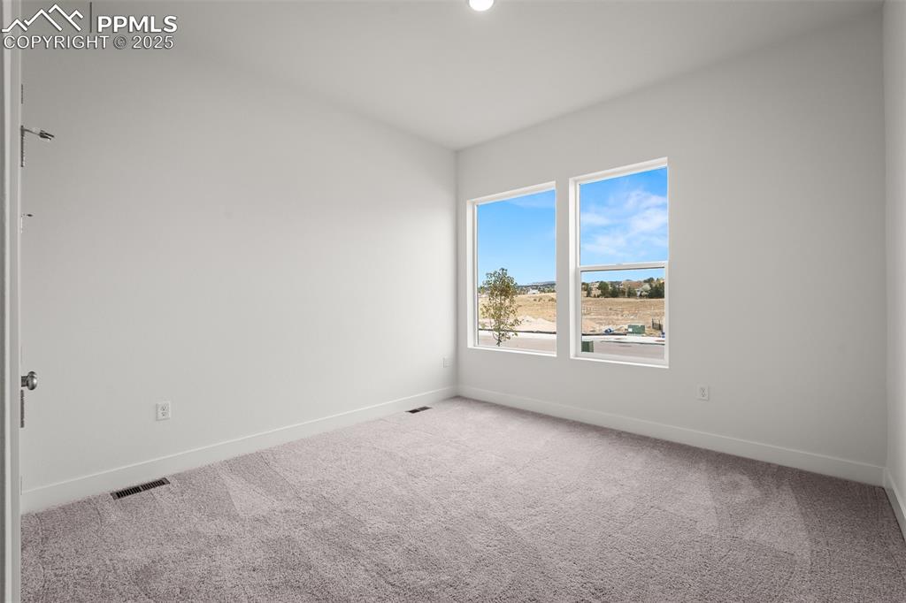 17242 Alsike Clover Court Monument CO 80132
