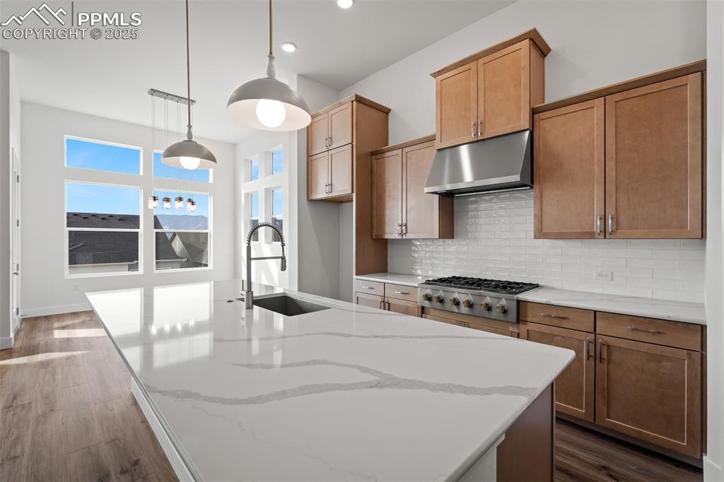 17242 Alsike Clover Court Monument CO 80132