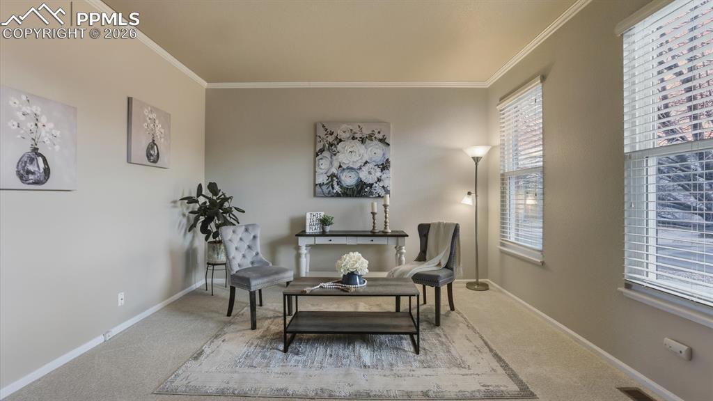 4685 Jenson Lane Colorado Springs CO 80922