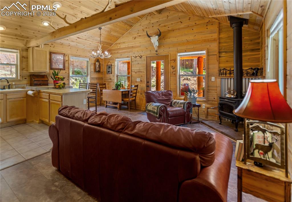 155 Squilchuk Trail Woodland Park CO 80863