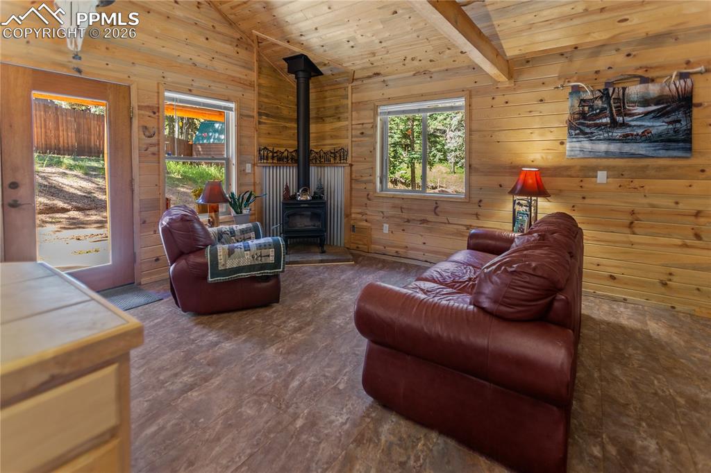 155 Squilchuk Trail Woodland Park CO 80863