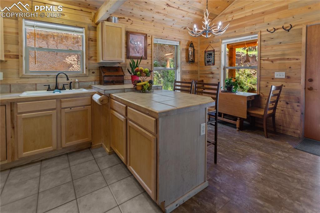 155 Squilchuk Trail Woodland Park CO 80863