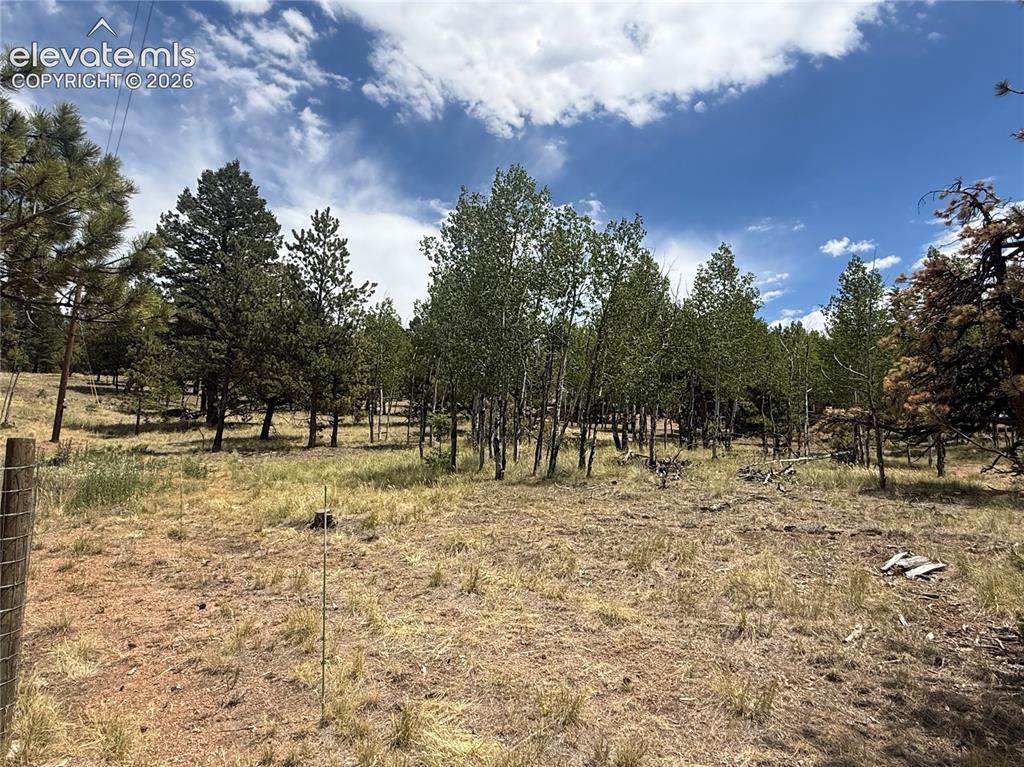 24 Big Horn Circle Florissant CO 80816