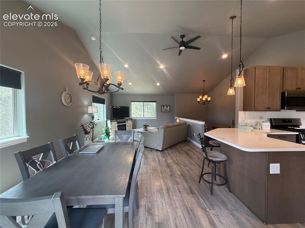 24 Big Horn Circle Florissant CO 80816