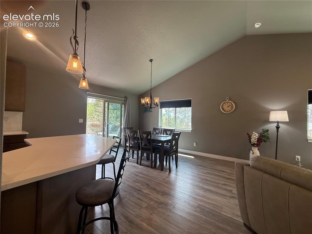24 Big Horn Circle Florissant CO 80816
