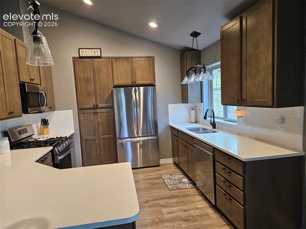 24 Big Horn Circle Florissant CO 80816