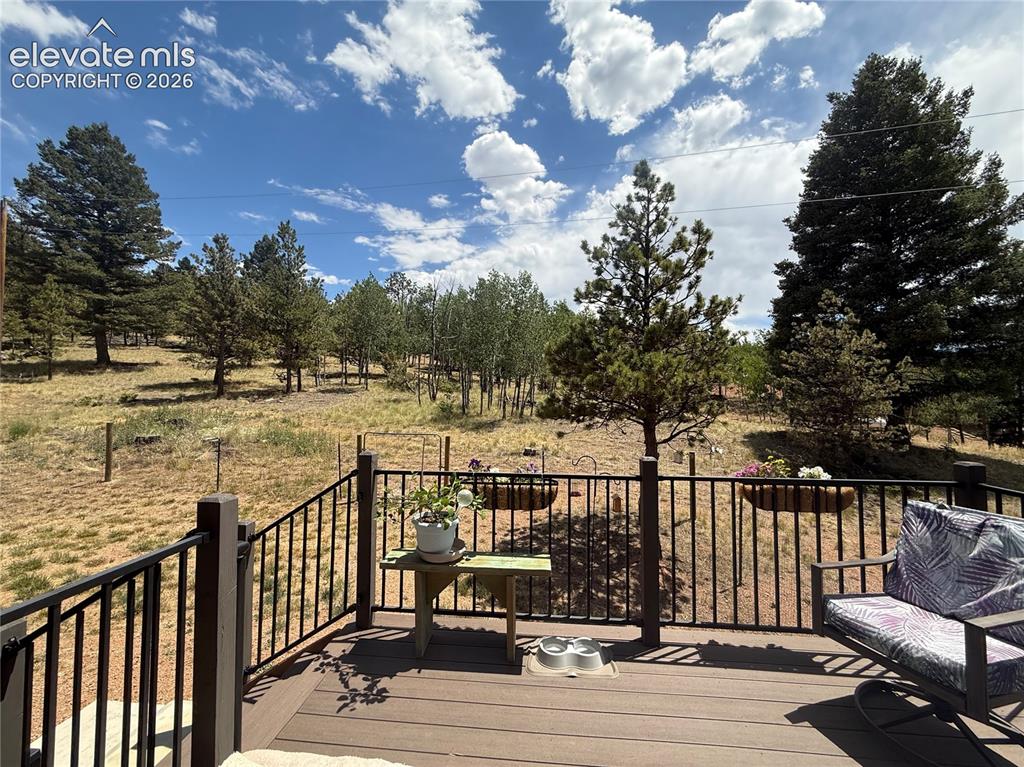 24 Big Horn Circle Florissant CO 80816