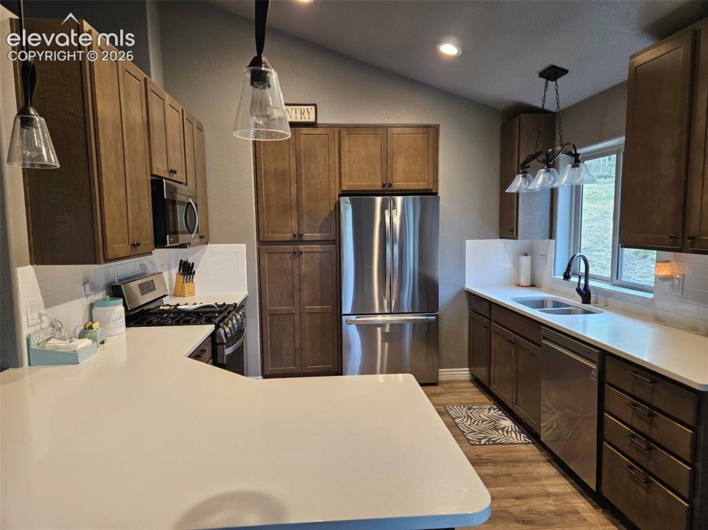 24 Big Horn Circle Florissant CO 80816