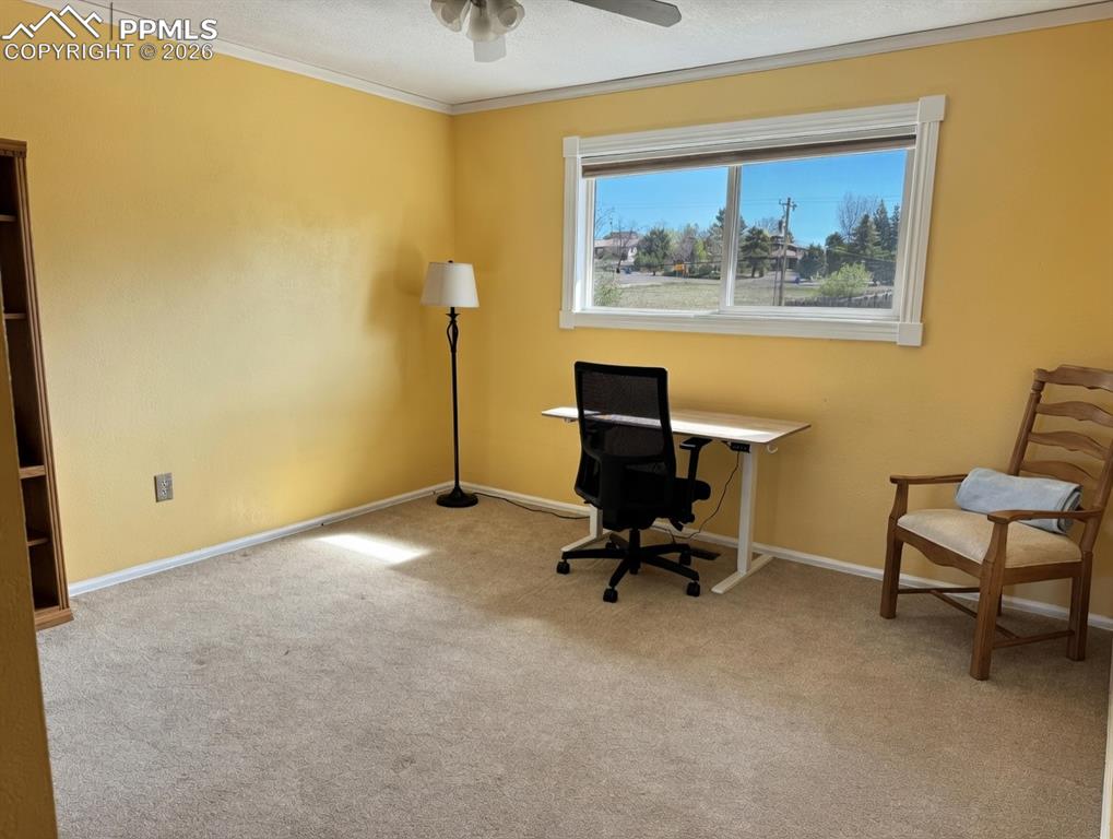 4955 Diamond Drive Colorado Springs CO 80918