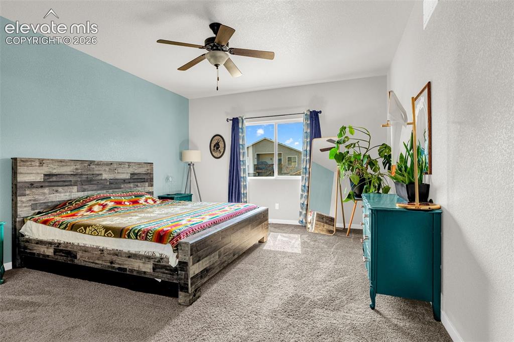 6898 Tullamore Drive Colorado Springs CO 80923