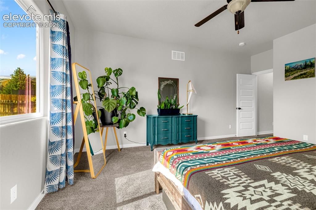 6898 Tullamore Drive Colorado Springs CO 80923