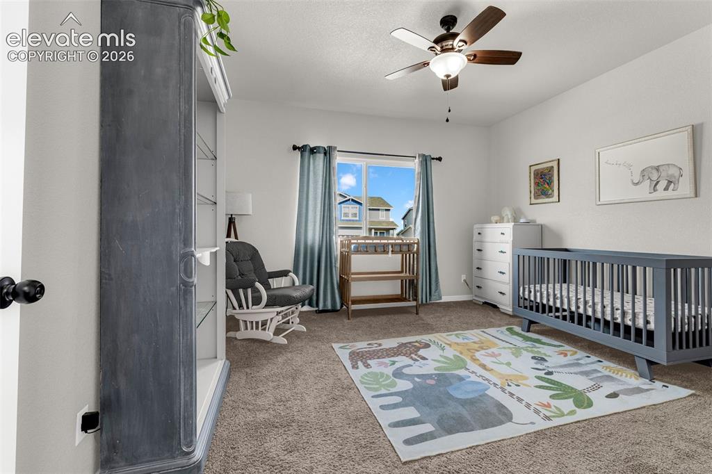 6898 Tullamore Drive Colorado Springs CO 80923