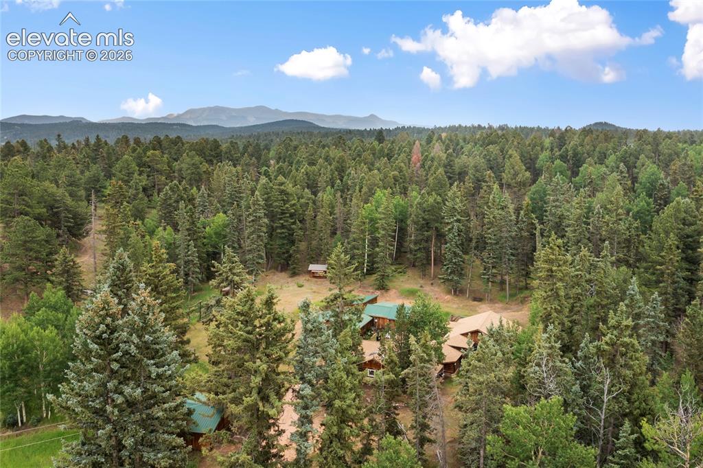 135 Daniwood Grove Florissant CO 80816