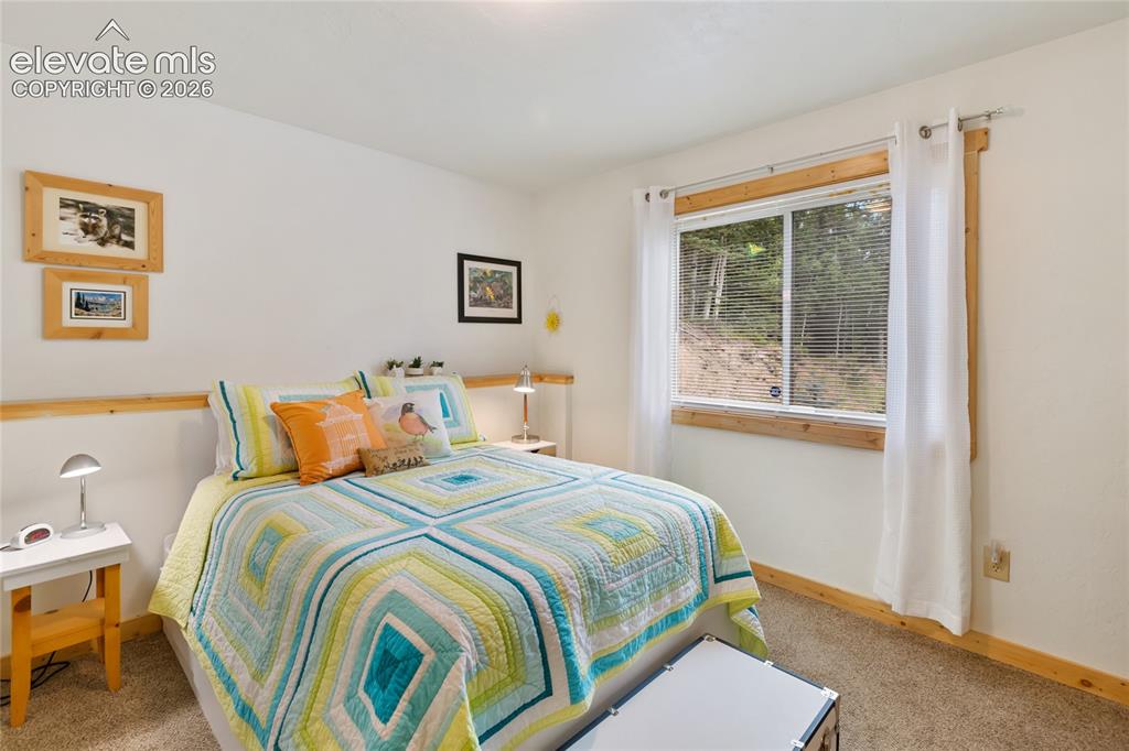135 Daniwood Grove Florissant CO 80816