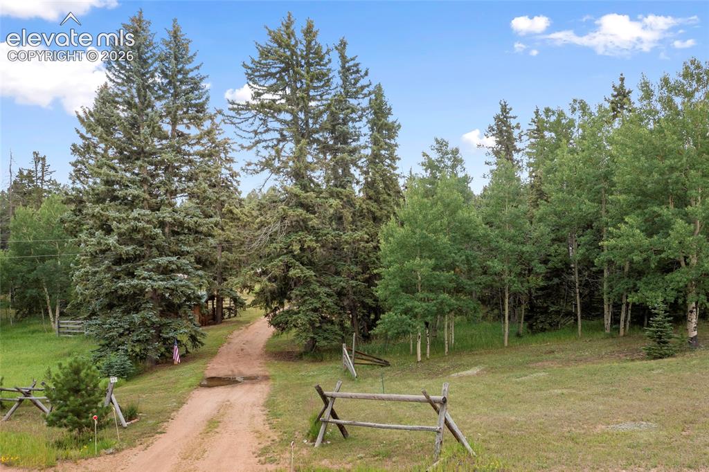 135 Daniwood Grove Florissant CO 80816