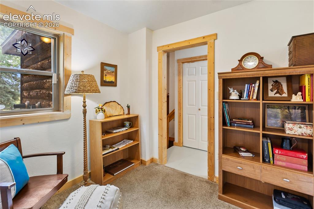135 Daniwood Grove Florissant CO 80816