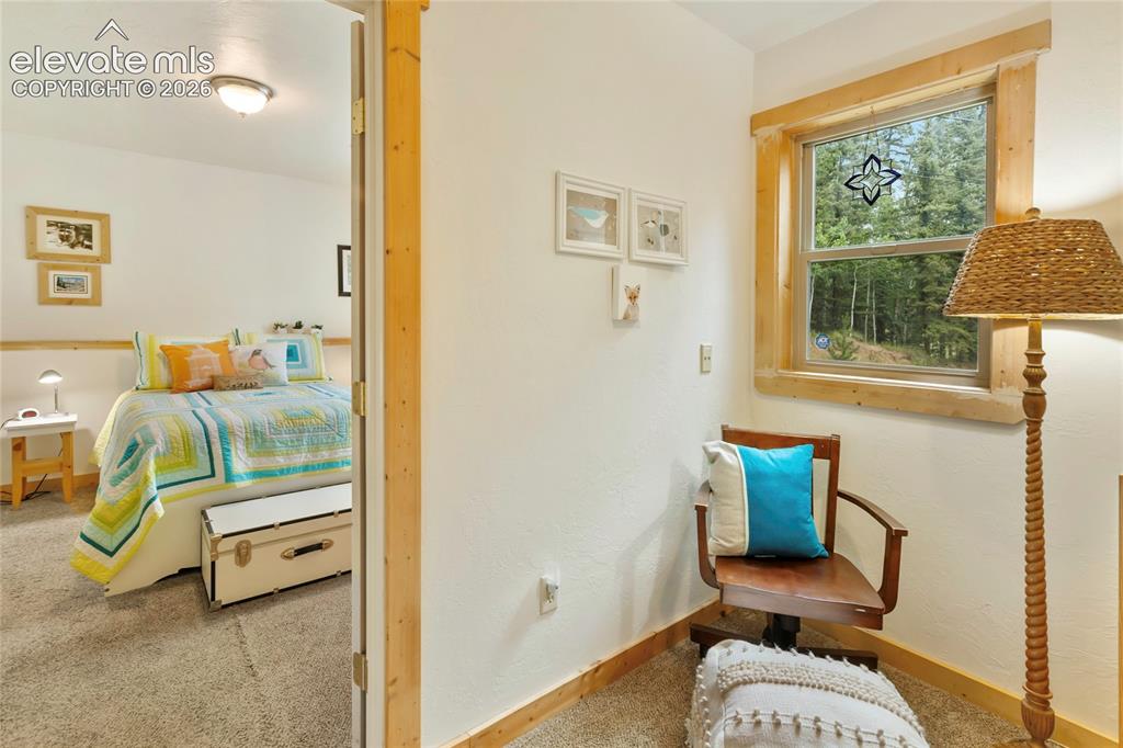 135 Daniwood Grove Florissant CO 80816