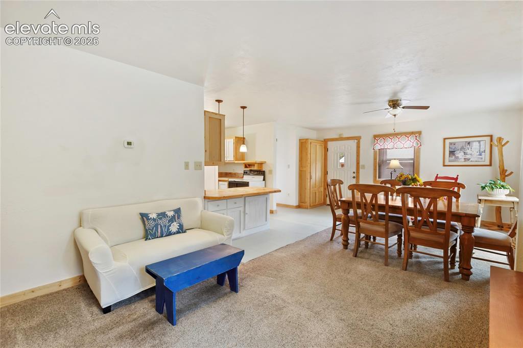 135 Daniwood Grove Florissant CO 80816