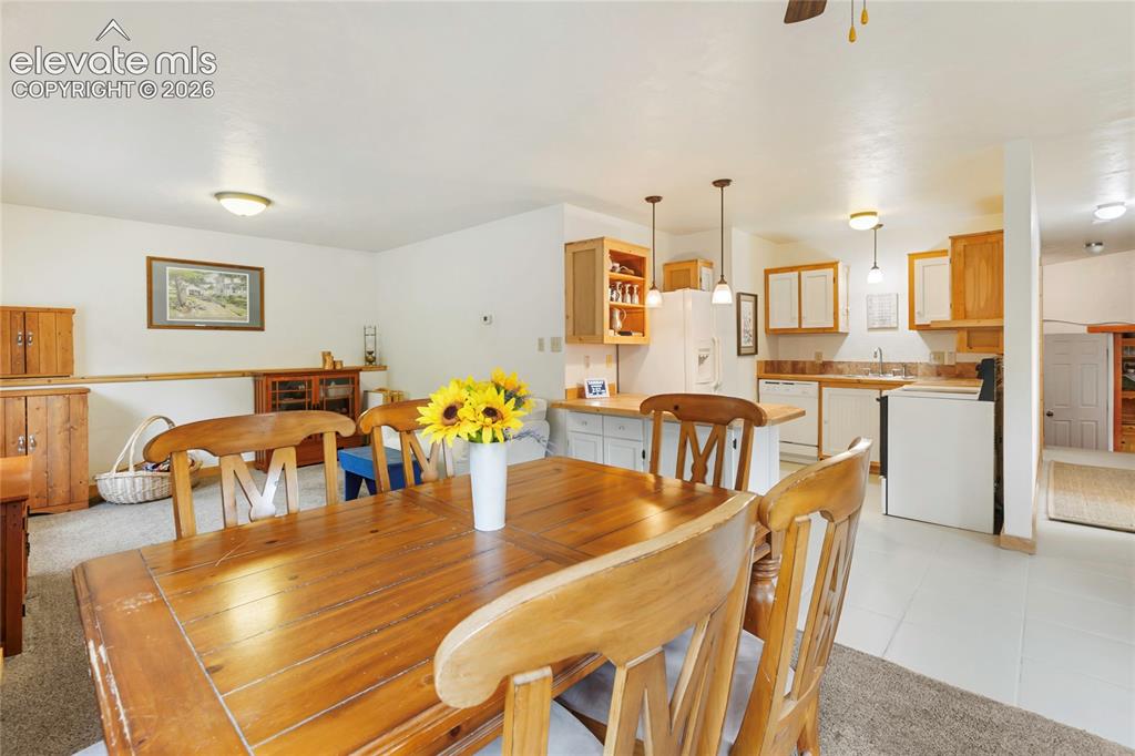 135 Daniwood Grove Florissant CO 80816