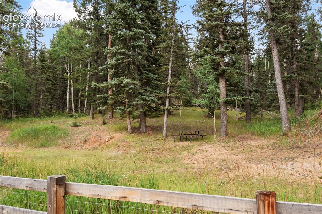 135 Daniwood Grove Florissant CO 80816