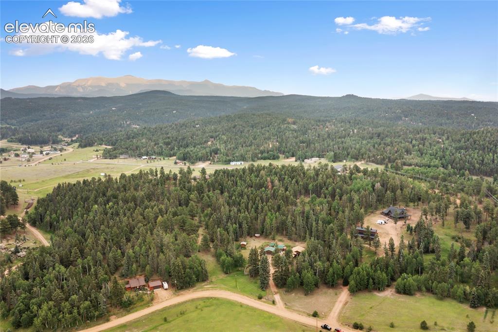 135 Daniwood Grove Florissant CO 80816
